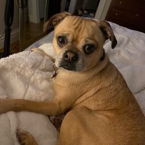 Meet your Posher, Nicholas